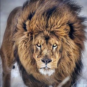 Meet your Posher, Sonia